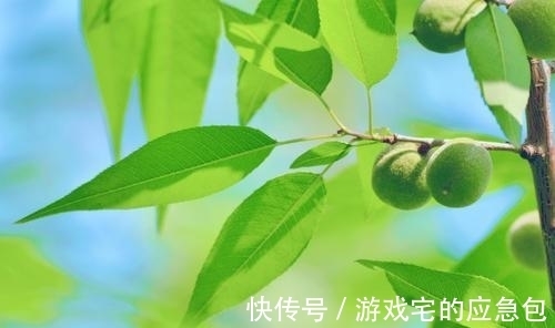 董贤@唐代二流诗人的两首绝句,构思巧妙,蕴含深远,更令人深思