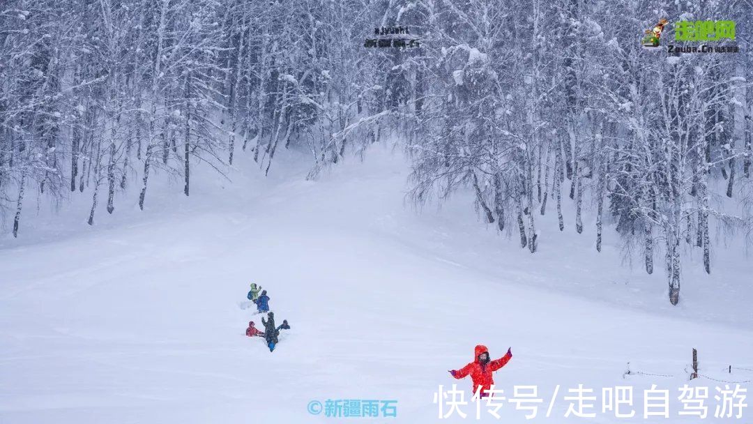 自留地|神的自留地，冬天的喀纳斯！美过北欧的它，才是雪景颜值的天花板