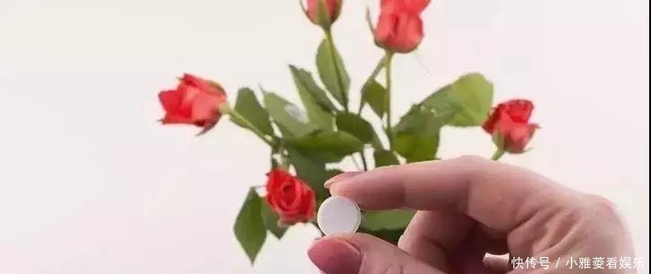 维生素c|家里“过期”小药片，养花是个宝，丢在盆里，比生根水还管用！