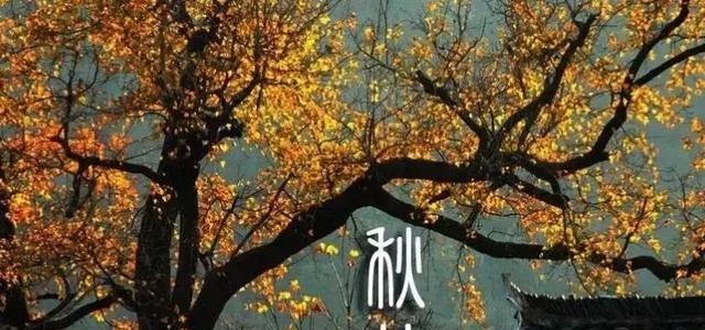  诗词|秋分时节, 遇见最美的秋分诗词！