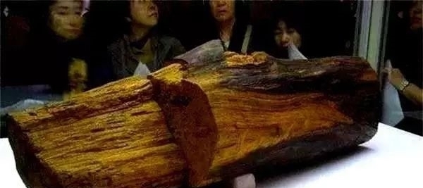 隋炀帝随手赏给日本一块木头,现在出1亿美金都没卖