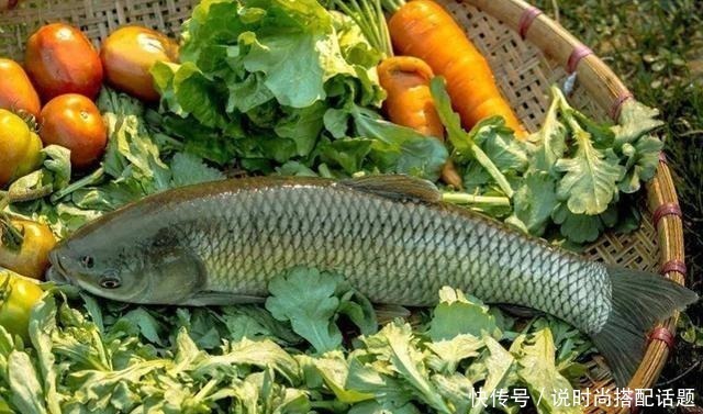 原来蒜子焖草鱼做法如此简单,鱼肉鲜嫩入味,比烤鱼还好吃