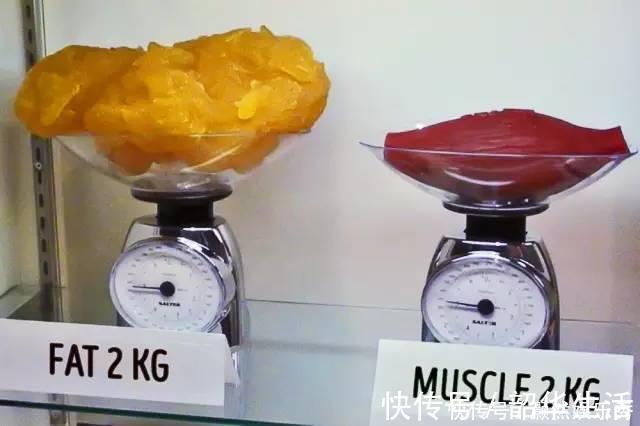 马甲线|大码模特180斤却没有赘肉，还能看出马甲线！减肥别太看体重