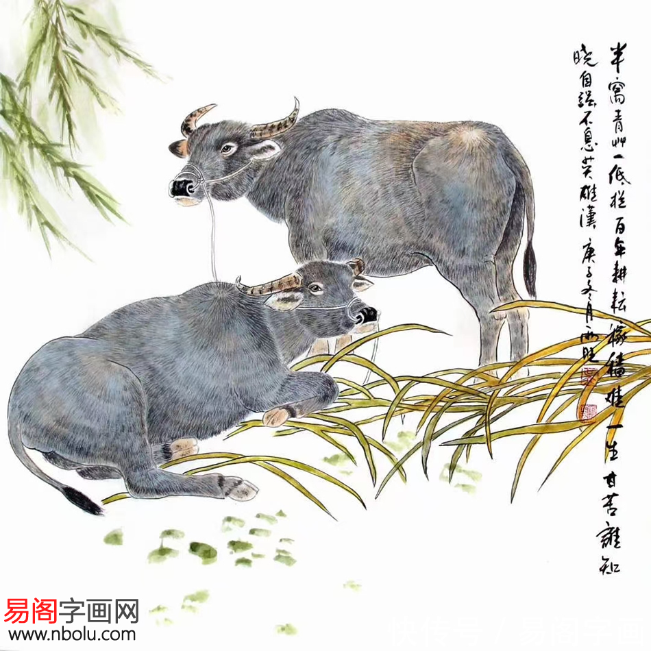 牡丹$画家吴雨旺:让书画艺术走进大众走进千家万户