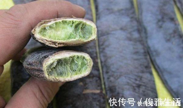 头皮部|白头发不用染，3味中药泡水喝，每天几毛钱，发量多了头发也黑了