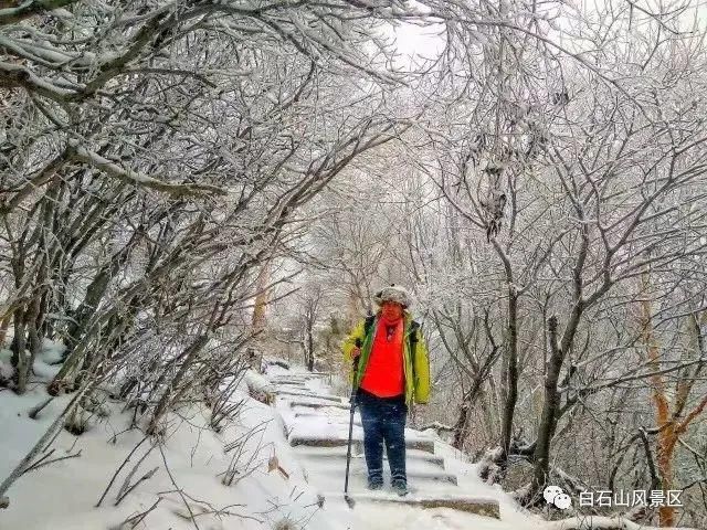 中年|2021第一场春雪！涞源白石山美上天际~