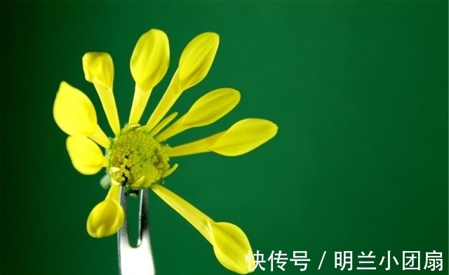 运命论|做人,可以精明,但不能“过头”