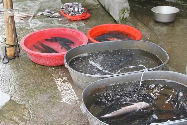 癌症患者|得癌后,饮食上不宜吃的发物,其实不是猪牛羊,可惜好多人吃错了