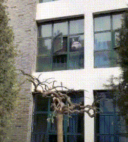 |搞笑GIF:妹子,佩服佩服,这都可以过来啊