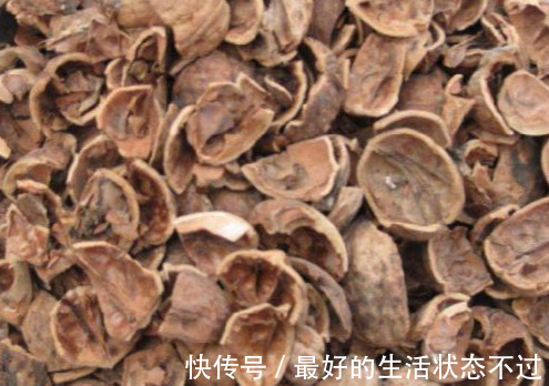 核桃壳|核桃壳不要扔了，用水煮一煮，能解决许多人的烦恼，为健康需重视