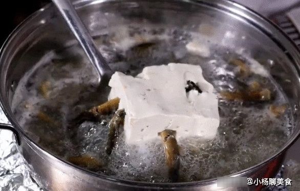 泥鳅钻豆腐|东北名菜泥鳅钻豆腐，只要有一两条泥鳅钻进去，就算是成功了