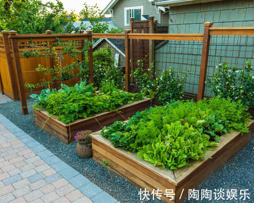 种菜|玩转庭院:家里有院子的话,可以建一个实用又好看的“菜园子”