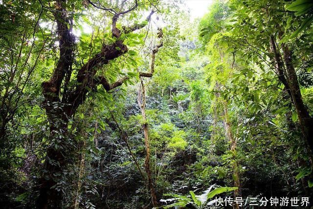 茶马古道|南迦巴瓦常年被挡，但人们的热情依旧不减，原来山下风景也迷人