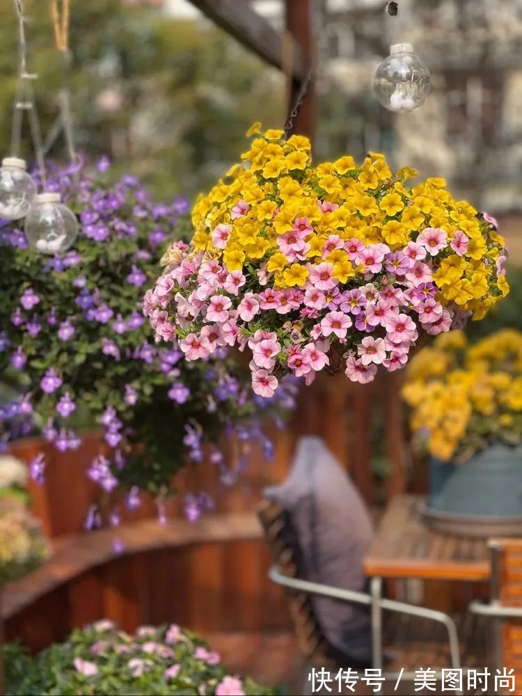 下午茶|一楼430㎡大院子,用1年半建成花园,网友:你这是建了个公园吧?