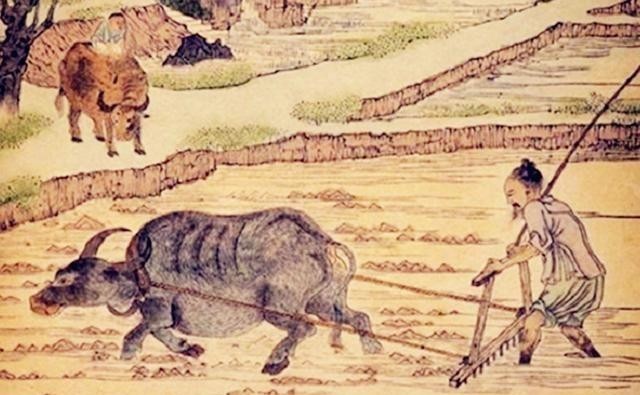 耤田$“一亩三分地”这个说法很多人都知道,但是,他的意义却鲜为人知