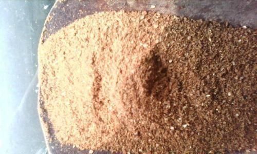 红砖|养蟹爪兰时先养根，盆里埋点这种东西，根系更旺，开花更多