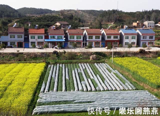 农村|小产权房会“消失”和农村宅基地有什么关系