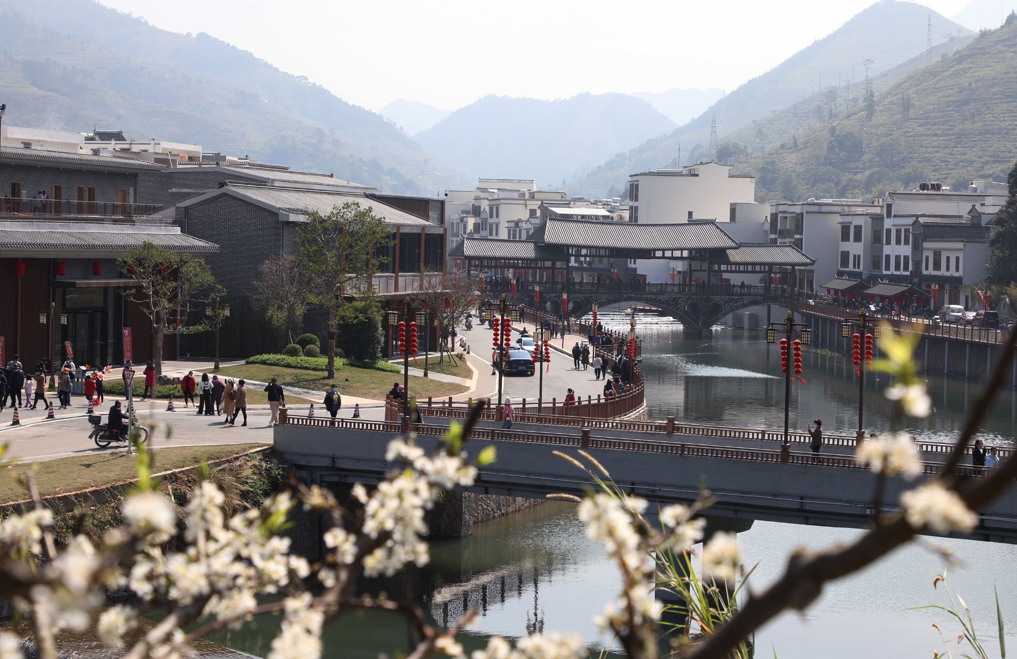 一树李花俏乡村——粤西双合村新春见闻|新春走基层| 龙大爷