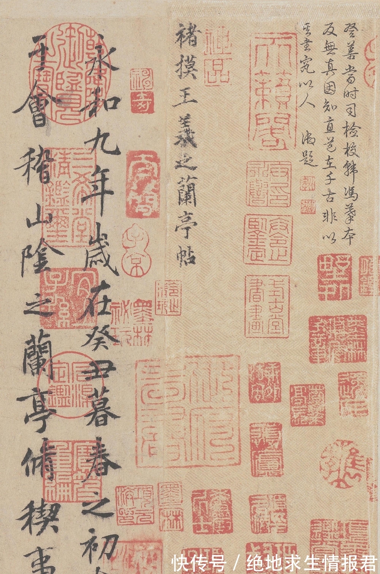 书法家#褚遂良在唐代书法家里排第几?