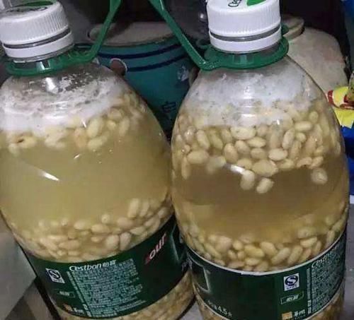 家家|它是“天然氮肥”,家家都有,养花埋盆里,营养有价值,养啥旺啥