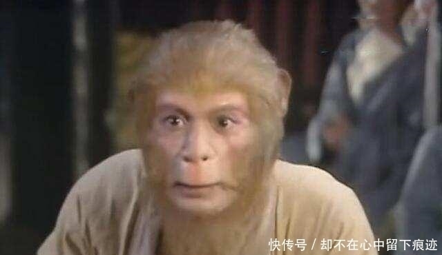 菩提祖师|西游最大的误会,菩提敲悟空脑袋三下,根本不是让他去学法术?