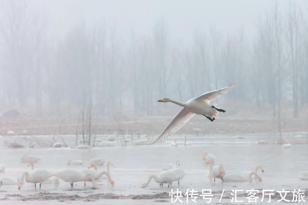 省区市|这才是34省区市冬季最美的地方，你去对了吗？