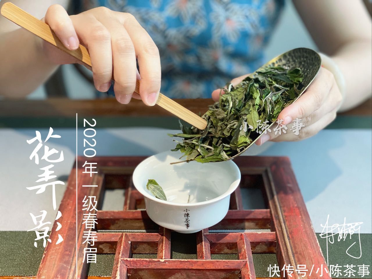 茶树|从产区、工艺到冲泡,全方位教你挑选寿眉,不藏私,都分享给你