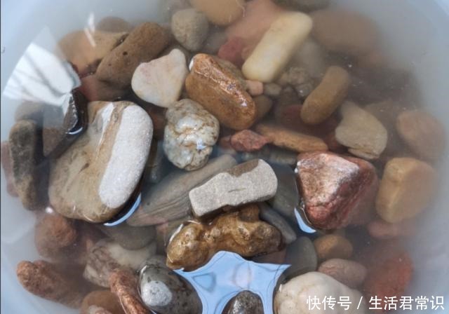 花盆不用买，河边捡堆小石头，做成漂亮的小花盆，养花好有韵味！