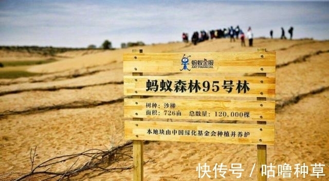 降雨量|被质疑造假？马云花巨资绿化沙漠，2016对比2021，真实数据打脸！