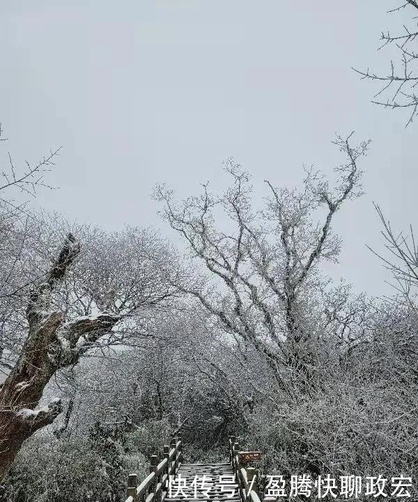 实在|贵州旅游｜贵州下雪啦！这些雪景图实在太美了！你那边下雪没？