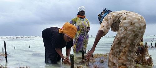 非洲|亡国最快的国家，仅抵抗1小时就宣布投降，如今却在苦苦寻求独立