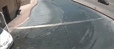 |搞笑GIF:主人,你的自动跑步机有点慢,能不能快点