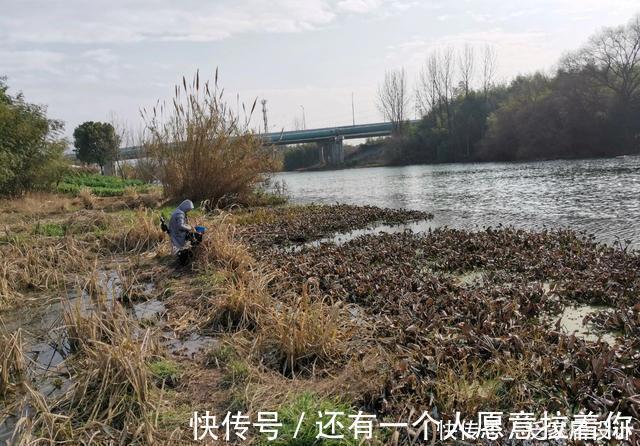 野钓|降温天野钓鲫鱼，小伙伴一天两次空军，却还笑别人太傻