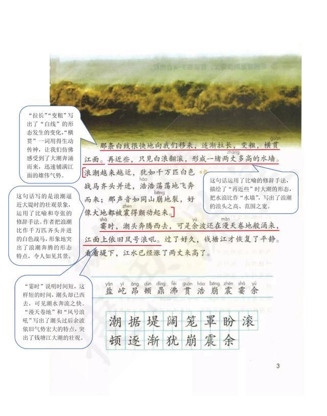 自然段|小学四年级上语文1课《观潮》课堂笔记、教案及练习题