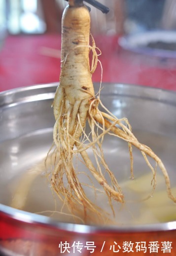 人参还有这些服用方法,你不能错过