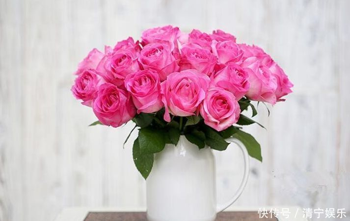 喜欢玫瑰，不如养”高端玫瑰“糖果雪山，甜蜜如糖果，粉嫩诱人