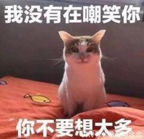 肌肤|2021一线顶尖孕妇护肤品牌排行榜丨盲买都不出错的逆龄不显老必备