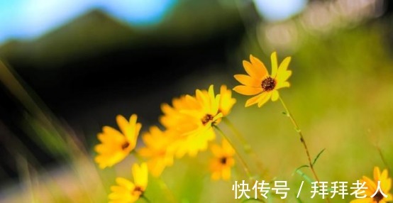 幸福|6天后，花开成海，思念成灾，心有所属，痴心不变，余生都是幸福