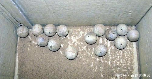 木板|垃圾堆里随手捡了个破木板,自己做成手串被告知是金丝楠