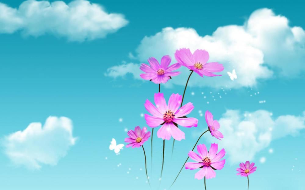  消愁|自饮长醉醉不醒，万古消愁愁难解