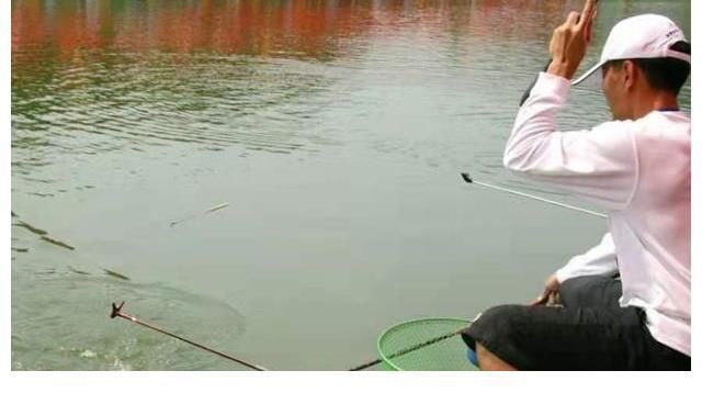 调漂|钓了20年鱼,如今才得知,太空豆还有这3个妙用,不服不行