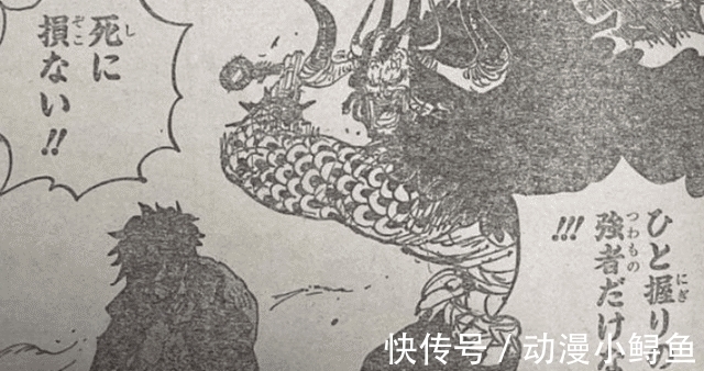 御田|海贼王1010:路飞发动“神避”,致敬罗杰!索隆9刀流比肩御田!