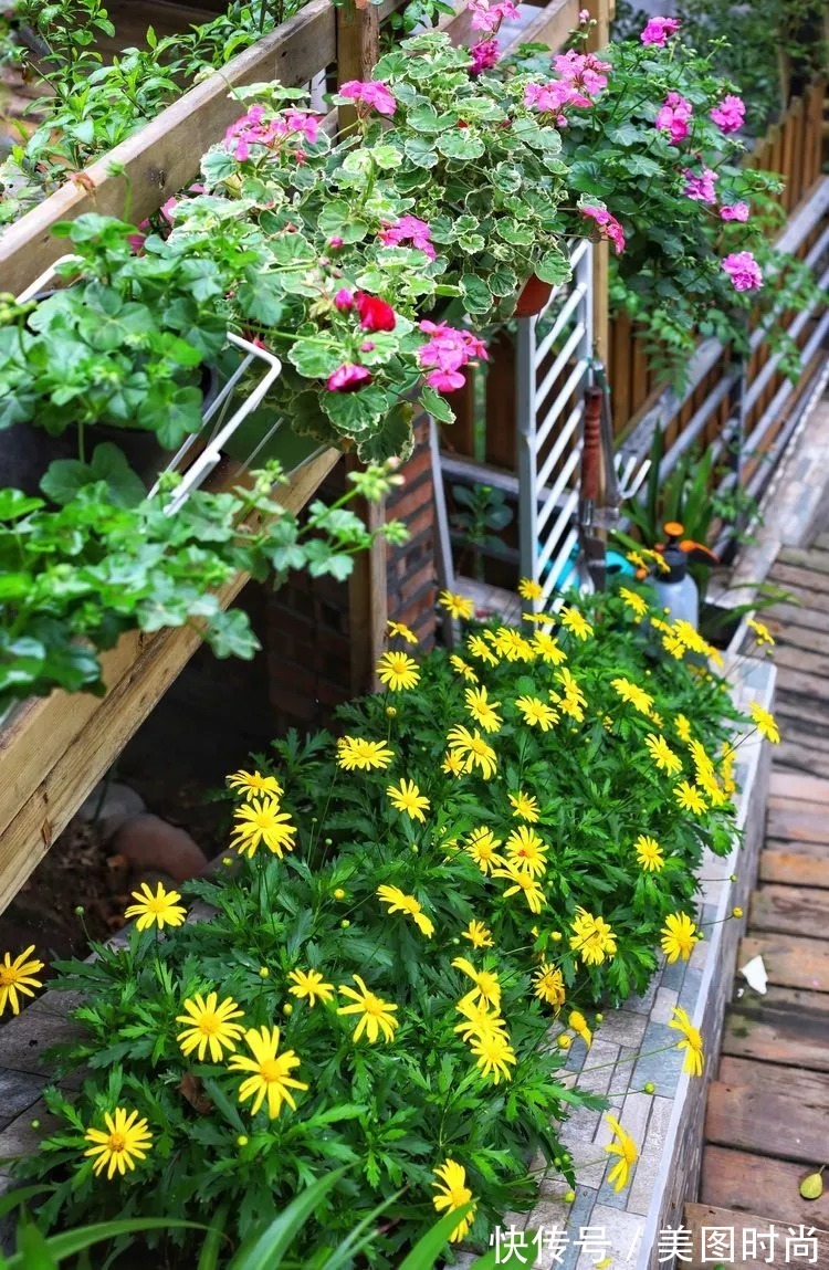 薇月|四年前,接手了朋友带120㎡院子的房子,打造成花园后朋友羡慕了