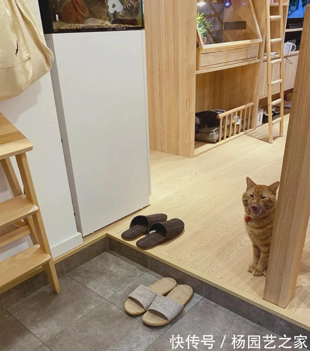 油烟|中看不中用的4种鸡肋设计，都是“假精致”，千万别跟风走弯路了