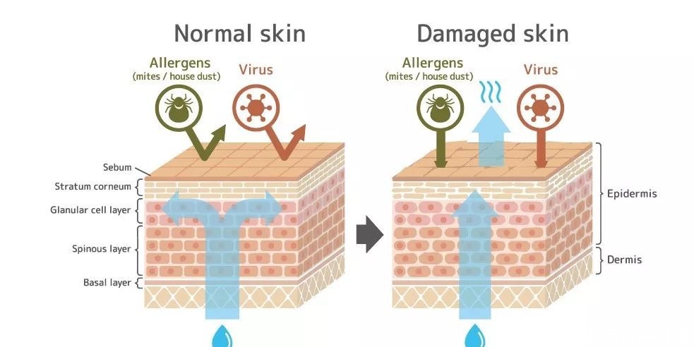 护肤品|8个护肤知识,你学会了吗?
