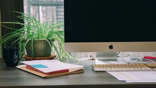 办公室的桌面上养这10植物就好打理,能舒缓压力,提高工作效率