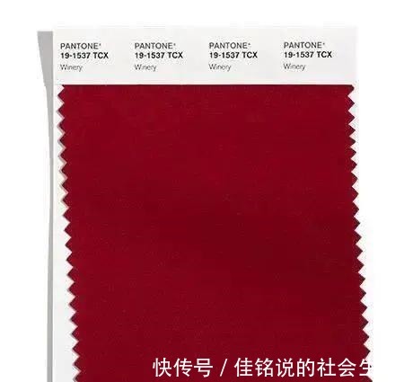 酒庄红 202122秋冬女装流行色趋势!