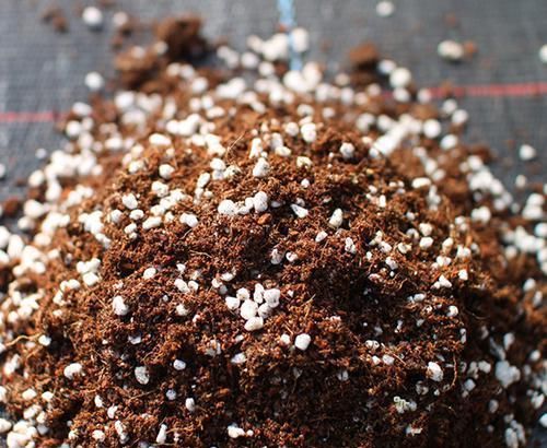 长期盆栽养花种草，土壤易板结该怎么预防？从浇水施肥下手