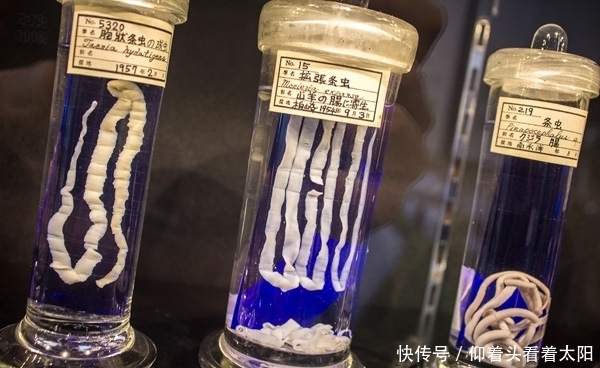 博物馆|全球最奇葩的6个博物馆,你听过几个?