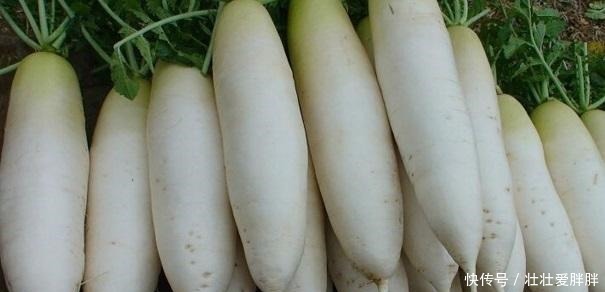 明日进入三九,别忘记吃1黑2红3白,顺应时节调饮食,平安过寒冬